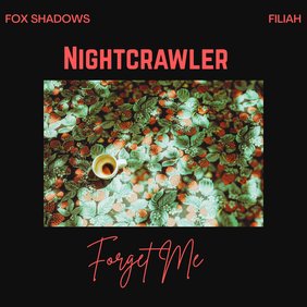 Fox Shadows